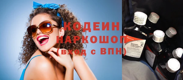 крисы Баксан