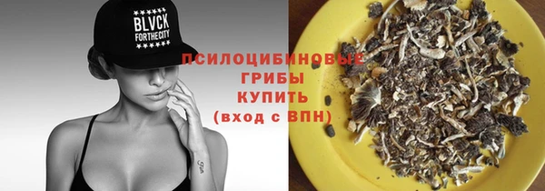 крисы Баксан
