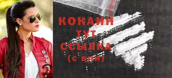 крисы Баксан