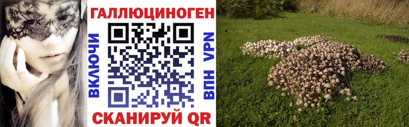 Галлюциногенные грибы MAGIC MUSHROOMS  Голицыно 